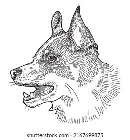 Dog sketch style, pen vintage illustration for your design