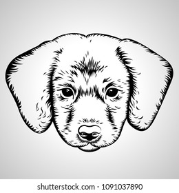 dog, sketch vector graphics black and white drawing