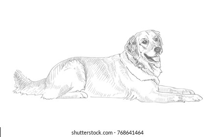 dog sketch vector graphics black and white drawing