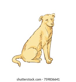 Dog sketch vector illustration