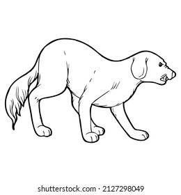 ilustración vectorial de esbozo de perro, aislado en fondo blanco, vista superior