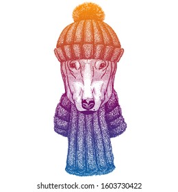 Dog. Ski, skier animal wearing woolen knitted hat. Christmas time. Cartoon character for little children. Kids print for shirts. Nursery decor.