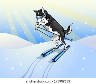 dog skier
