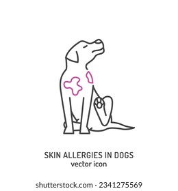 Icono de problemas de piel de perro. Las alergias en los perros firman. Pictograma de contorno. Pérdida del pelo, picor, alergia, escabeche. parásitos animales. Ilustración vectorial editable en el estilo de contorno en un fondo blanco