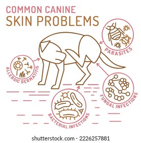 Dog skin problems infographic. Icons with different causes. Hair loss, itching, allergy, scabs. Animal parasites. Editable vector illustration in outline style.  Horizontal veterinary banner