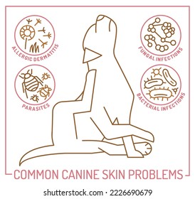 Dog skin problems infographic. Icons with different causes. Hair loss, itching, allergy, scabs. Animal parasites. Editable vector illustration in outline style.  Horizontal veterinary banner