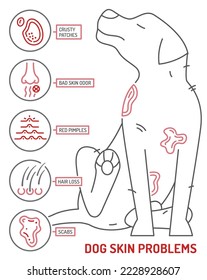 Die Hauterkrankungen des Hundes sind Infografik. Symbole mit unterschiedlichen Symptomen. Haarausfall, Juckreiz, Allergie, Schuppen. Tierparasiten. Bearbeitbare Vektorgrafik im Konturstil.  Horizontaler Veterinärbanner