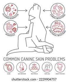 Infografía de problemas de piel de perro. Iconos con diferentes síntomas. Pérdida del pelo, picor, alergia, escabeche. parásitos animales. Ilustración vectorial editable en estilo de contorno.  Banner veterinario horizontal