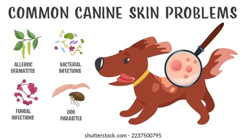 Dog skin problems infographic. Icons with different symptoms. Hair loss, itching, allergy, scabs. Animal parasites. Editable vector illustration in cartoon style. Horizontal veterinary banner