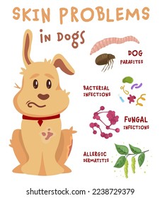 Dog skin problems infographic. Icons with different symptoms. Hair loss, itching, allergy, scabs. Animal parasites. Editable vector illustration in cartoon style. Vertical veterinary banner