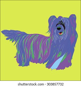 Dog Skye Terrier vector illustration