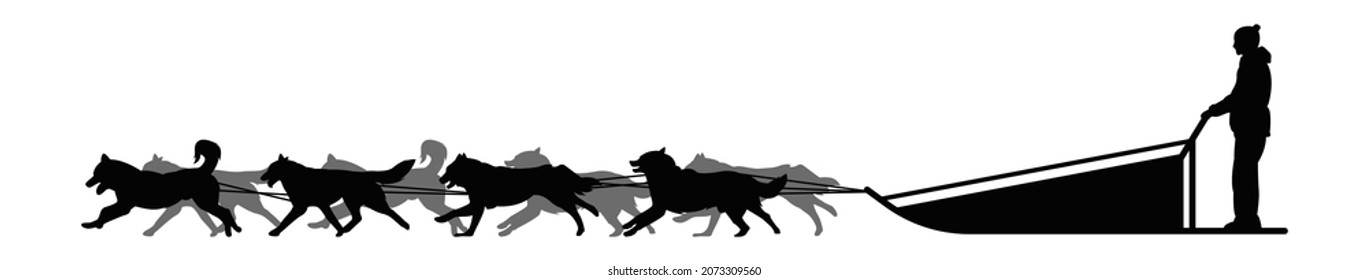 Dog Sled Silhouette On A White Isolated Vector Background