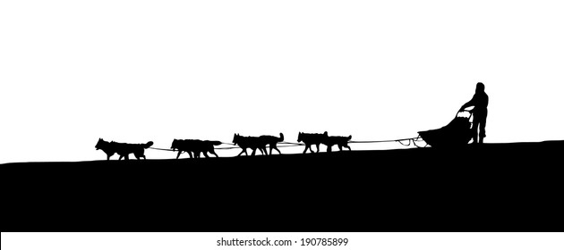 Dog Sledding on the horizon