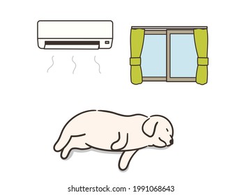 The dog sleeping in an air-conditioned room.