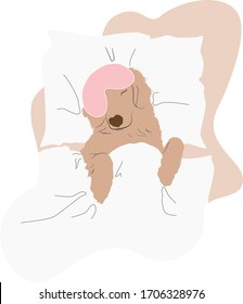 El perro está durmiendo en la cama. Máscara durmiente. Recuperador de oro. Ilustración vectorial digital