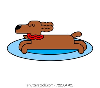 Dog sleeping isolated. pet is asleep. Vector illustration
