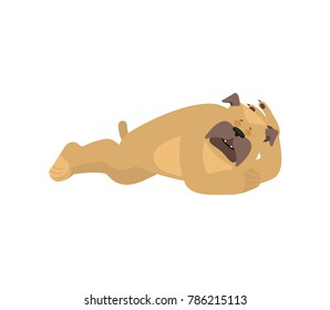 Dog sleeping. Pet asleep emotions. bulldog dormant. Vector illustration