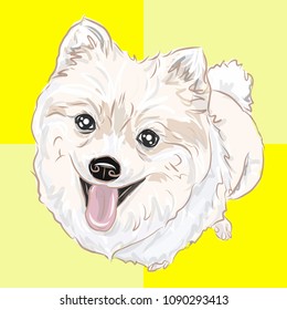 dog, small dog Can be used for wallpaper, pattern fills, textile, web page background, surface textures, Image for advertising booklets, banners.