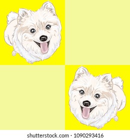 dog, small dog Can be used for wallpaper, pattern fills, textile, web page background, surface textures, Image for advertising booklets, banners.