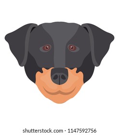
A dog with small ears and black face denoting english mastiff 
