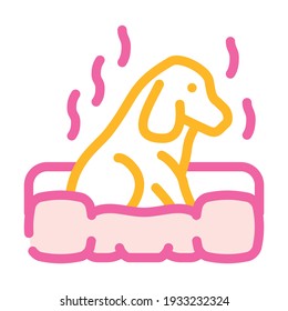 dog smell color icon vector. dog smell sign. isolated symbol illustration