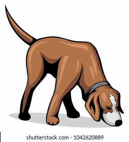 Dog Sniff The Ground, Vector Image.