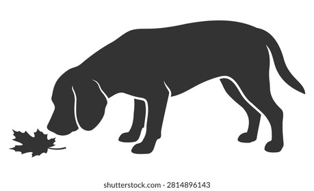 Dog sniffing a fallen maple leaf on the ground silhouette illustration