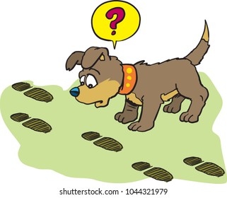 Dog sniffing traces men