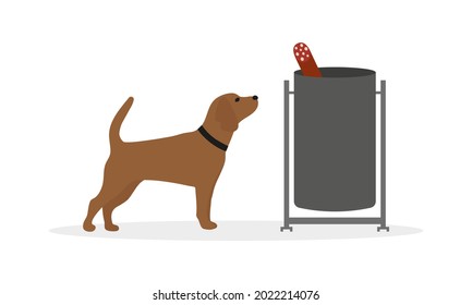 Dog sniffing trash can with sausage on white background