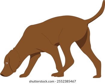 dog sniffing vector illustration image