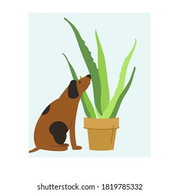 Hundeschniffs, Scharlachblume - flache Illustration für Kinderzimmer, Hausdekoration und Tierklinik.