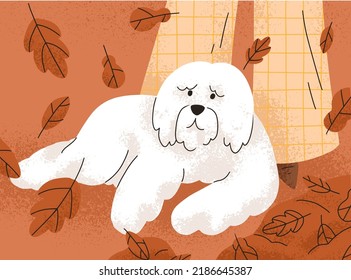 Perro de raza de pastor del sur de Rusia, tendido cerca de los propietarios, patas en la naturaleza durante la caminata. Un gran perrito tambaleante en otoño. Animales caninos furtivos. Ilustración vectorial plana aislada en fondo blanco