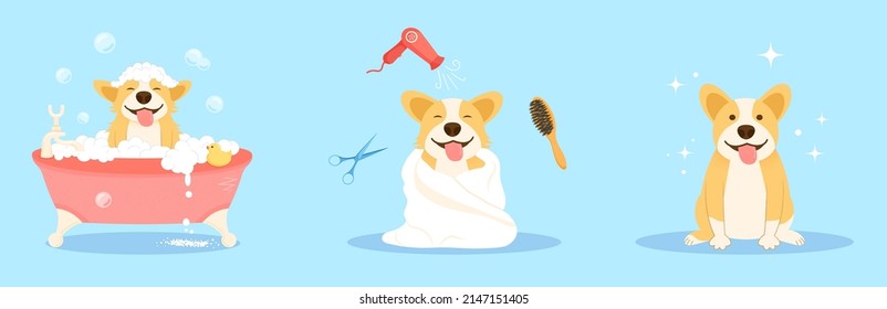Dog Spa And Grooming Service Concept. Cute Welsh Corgi Dog Enjoying Salon Procedures, Takes A Bubble Bath, Pets Dry Hair With Fan. Clean Happy Pet. Cartoon Vector Set Illustration.