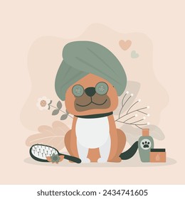 Dog spa and grooming service concept. Cute dog enjoying salon procedures, animal dry hair with comb and fan. Clean happy pet. Graphic resource for web content, banner, greeting card. flat vector svg
