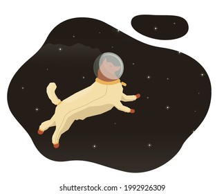 Dog in a spacesuit in space soars in zero gravity flat vector illustration