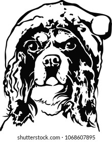 Dog spaniel stencil illustration vector