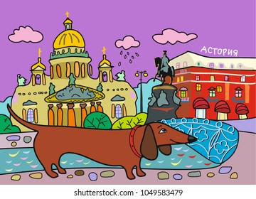 dog in SPB