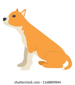 
Dog specie boxer icon
