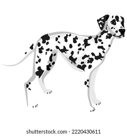 dog species colorful vector graphics illustrations eps