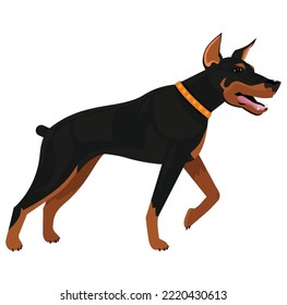 dog species colorful vector graphics illustrations eps