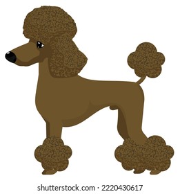 dog species colorful vector graphics illustrations eps