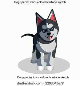 Dog species icons colored cartoon sketch