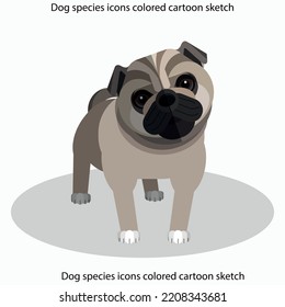 Dog species icons colored cartoon sketch