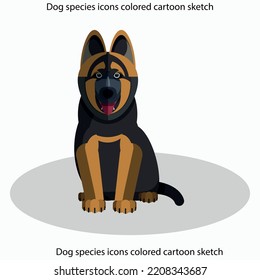 Dog species icons colored cartoon sketch