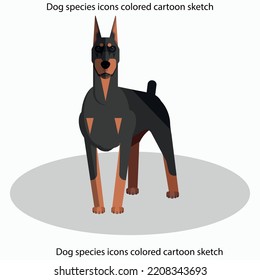 Dog species icons colored cartoon sketch