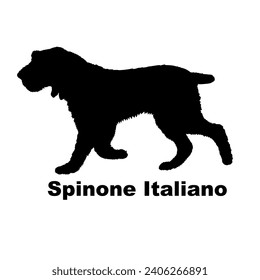 Dog Spinone Italiano silhouette Breeds Bundle Dogs on the move. Dogs in different poses.
The dog jumps, the dog runs. The dog is sitting lying down playing
