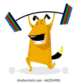Dog Sporting with barbell. Pet pumping muscle. Fitness exercises. Weight lifting. Vector illustration with cute training dog
