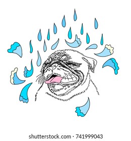 Dog is in the spring rain. Cute pug portrait. Vector illustration.