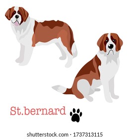 Dog of St. Bernard collection in Vector illustration of Pets in trendy flat style isolated on white.