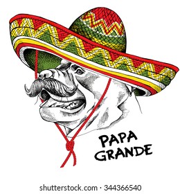 Dog Staffordshire bull terrier with a mustache in Mexico sombrero. The text label on Spanish is Big Daddy. Vector illustration.